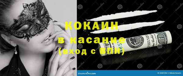 стаф Абаза