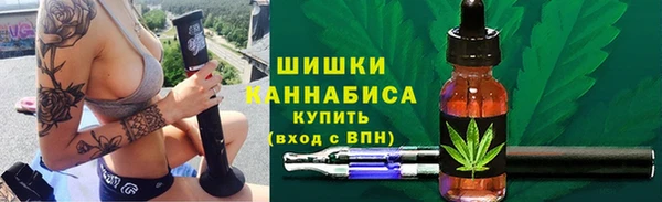 стаф Абаза