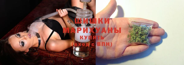 стаф Абаза
