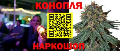 шишки Обь