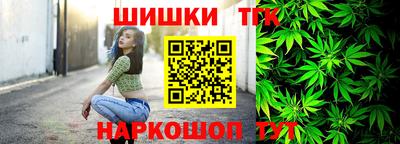 шишки Обь