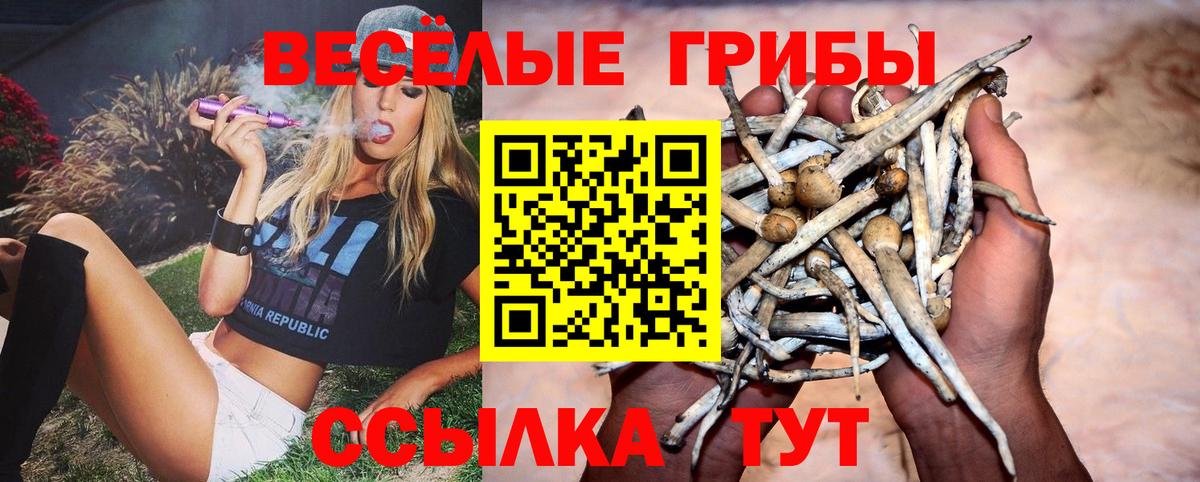Галлюциногенные грибы MAGIC MUSHROOMS Чебаркуль